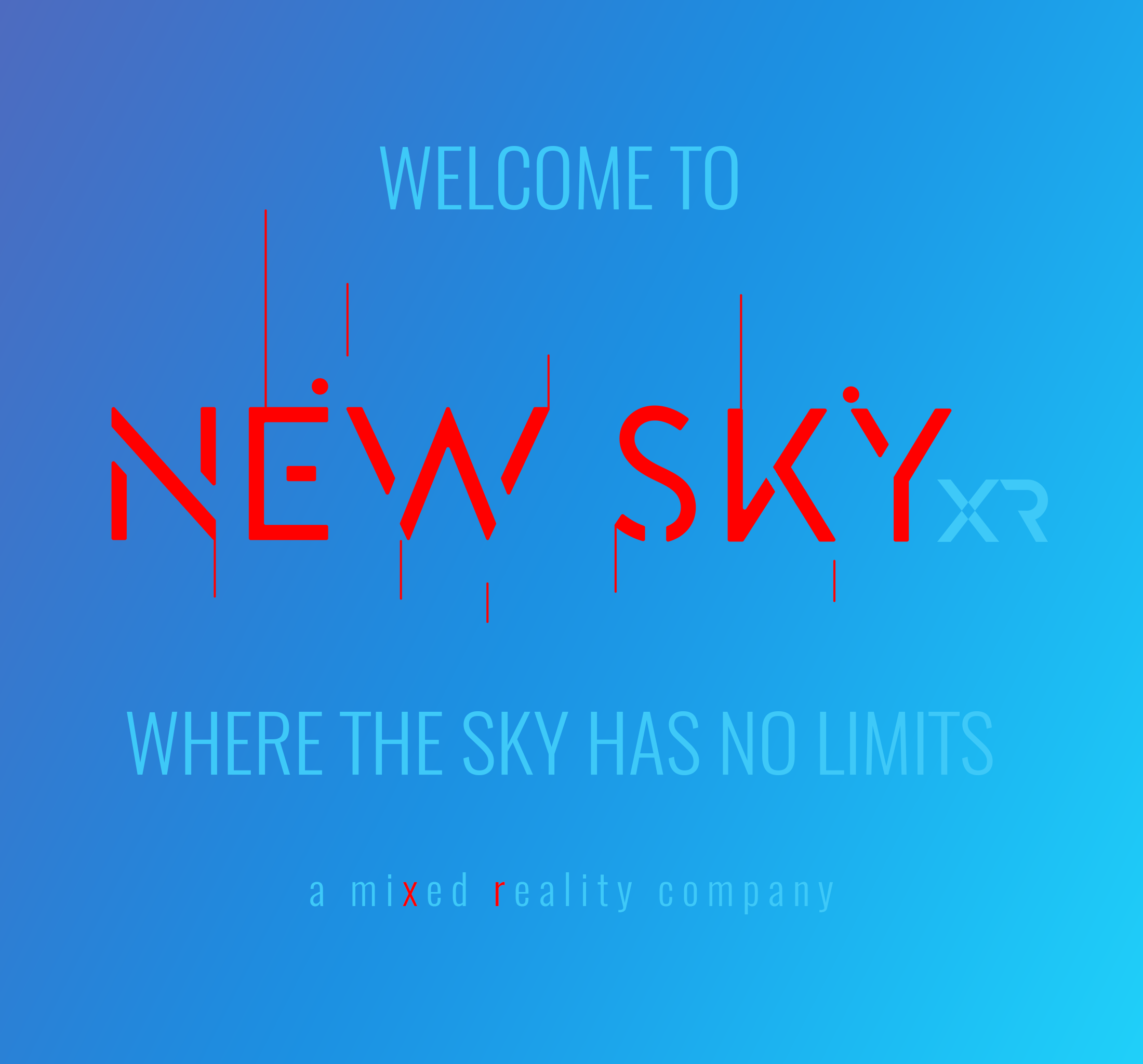 newskycollective.com